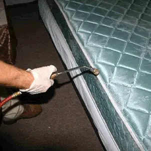 Anti-Bedbugs Fumigation